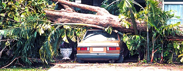 car damaged in stormy weather